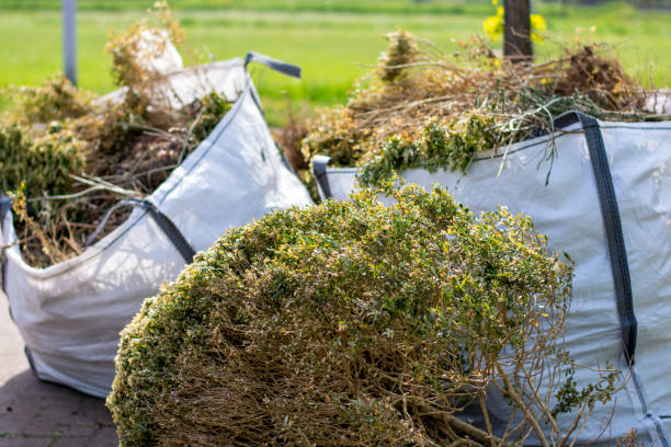 Best Carpet Removal and Disposal  in Ridgefield, NJ